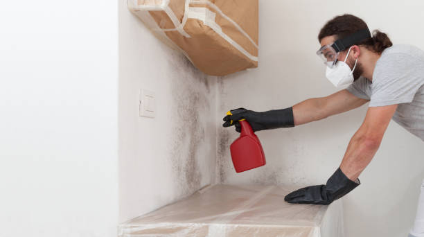 Professional Bathroom Mold Removal technician working in Elon, NC