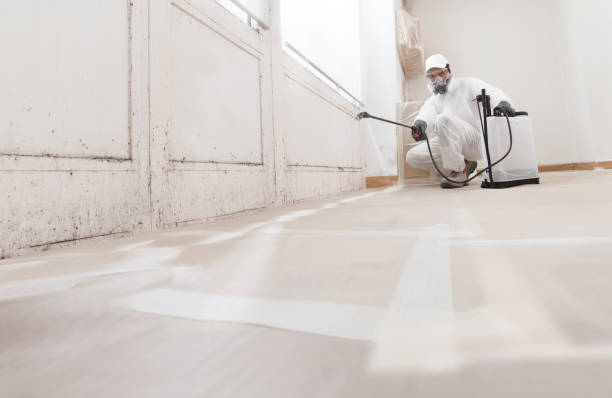 24/7 Emergency Bathroom Mold Removal experts in Elon, NC